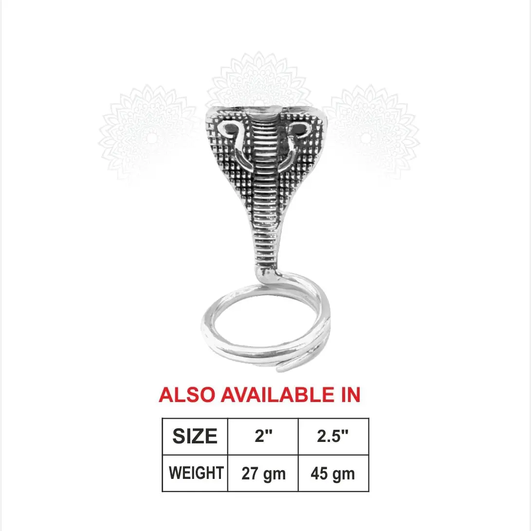 Naag Silver Idol