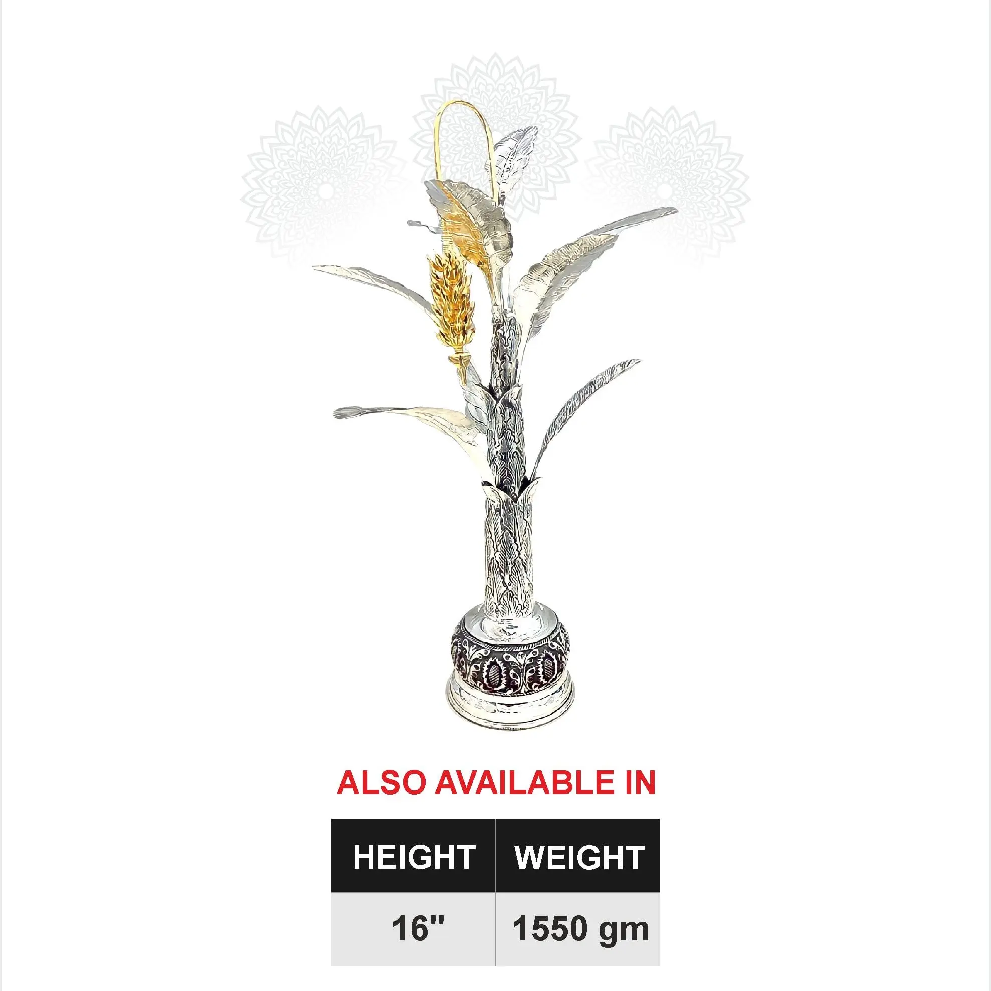 Silver Banana Tree