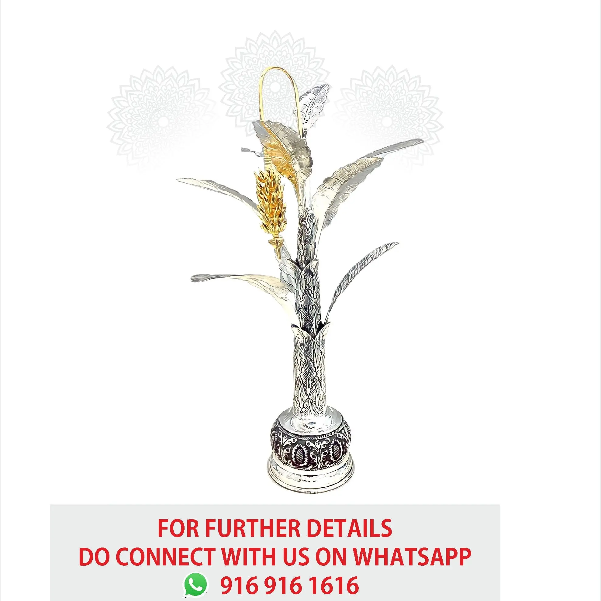 Silver Banana Tree