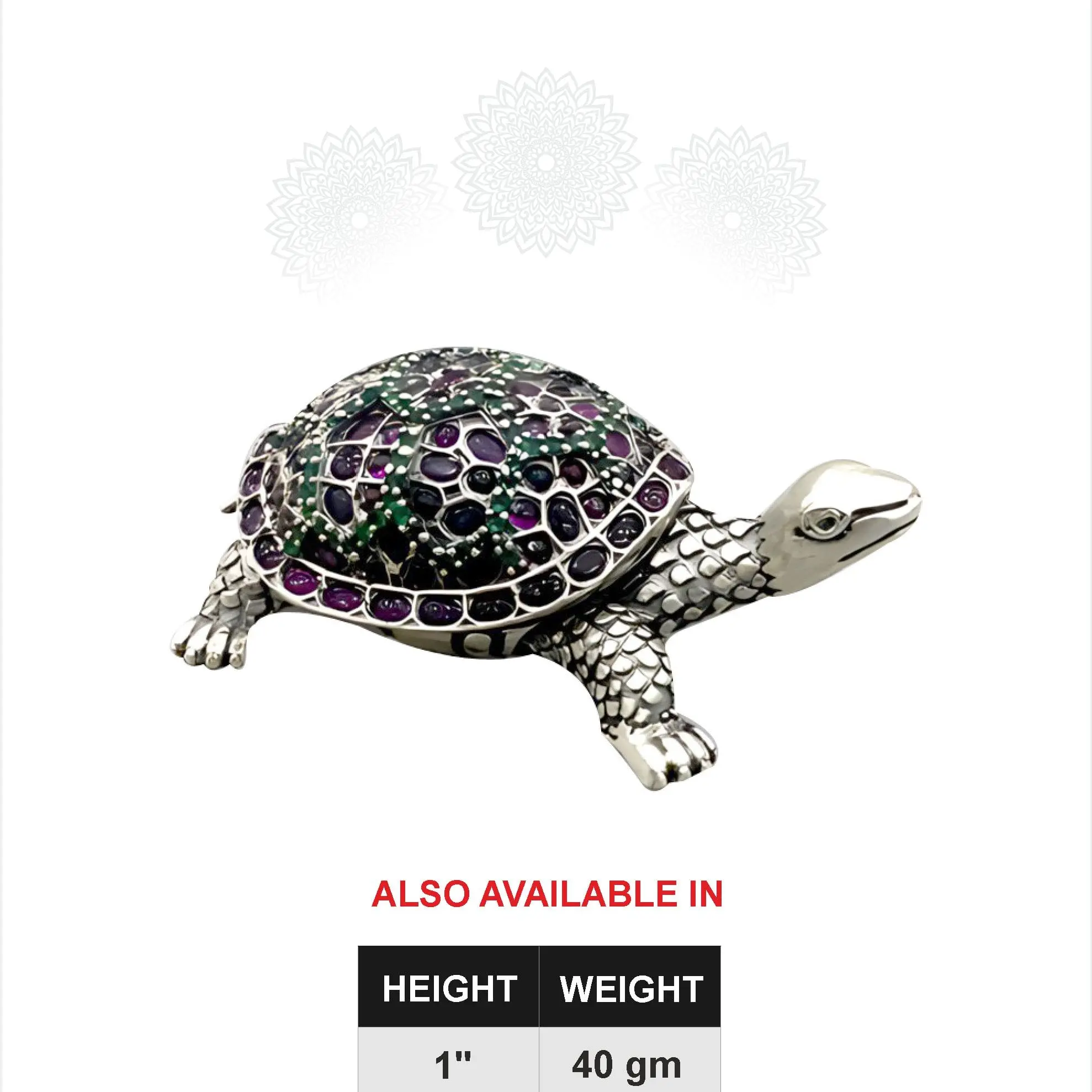 Tortoise