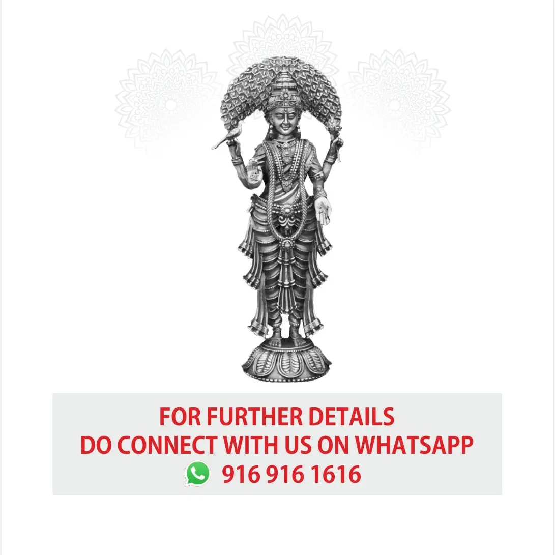 3 D Vasavi Mata Silver Idol
