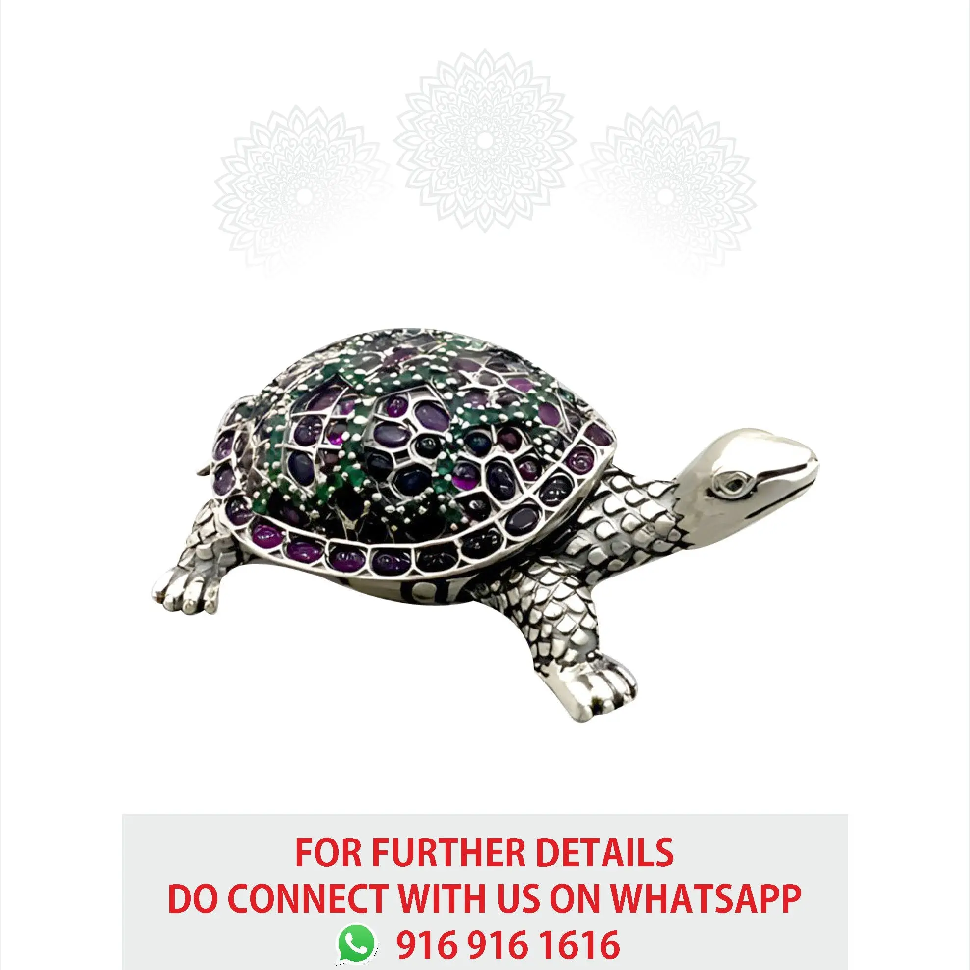 Tortoise
