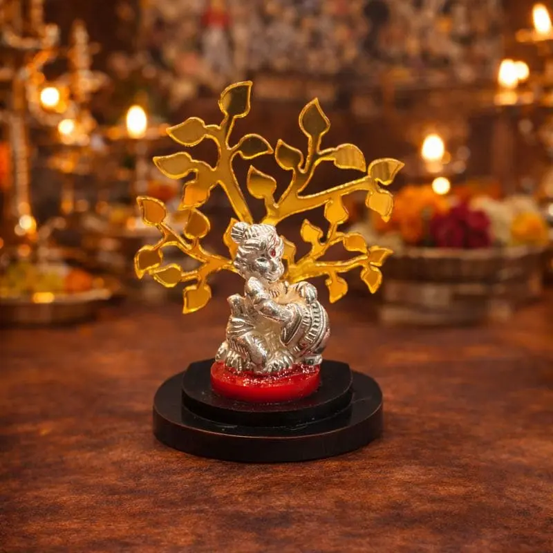 BODHI KRISHNA