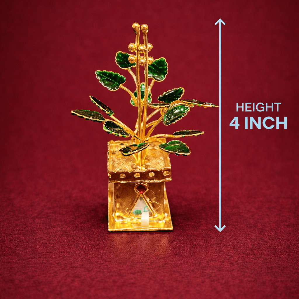 TULSI KOTA