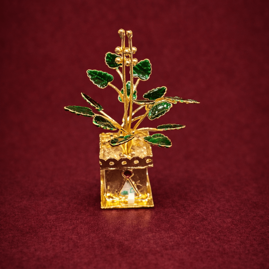 TULSI KOTA