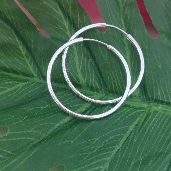 Silver Earrings