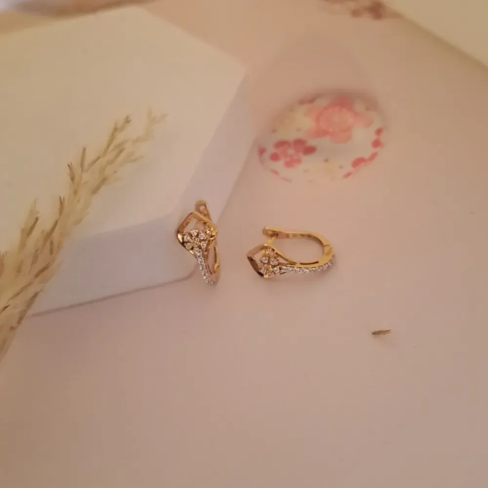 Light Weight Earrings