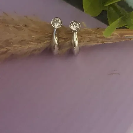 trendy Silver Earring