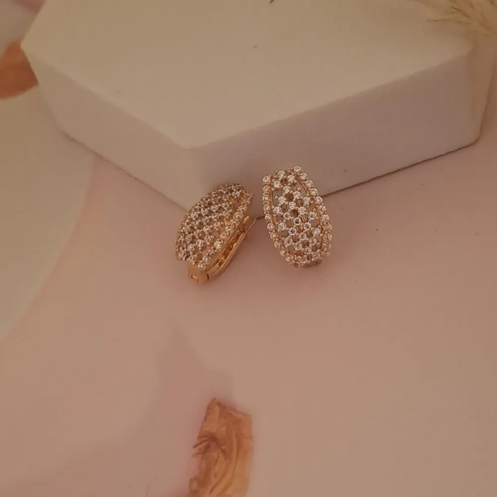 Classy Earrings