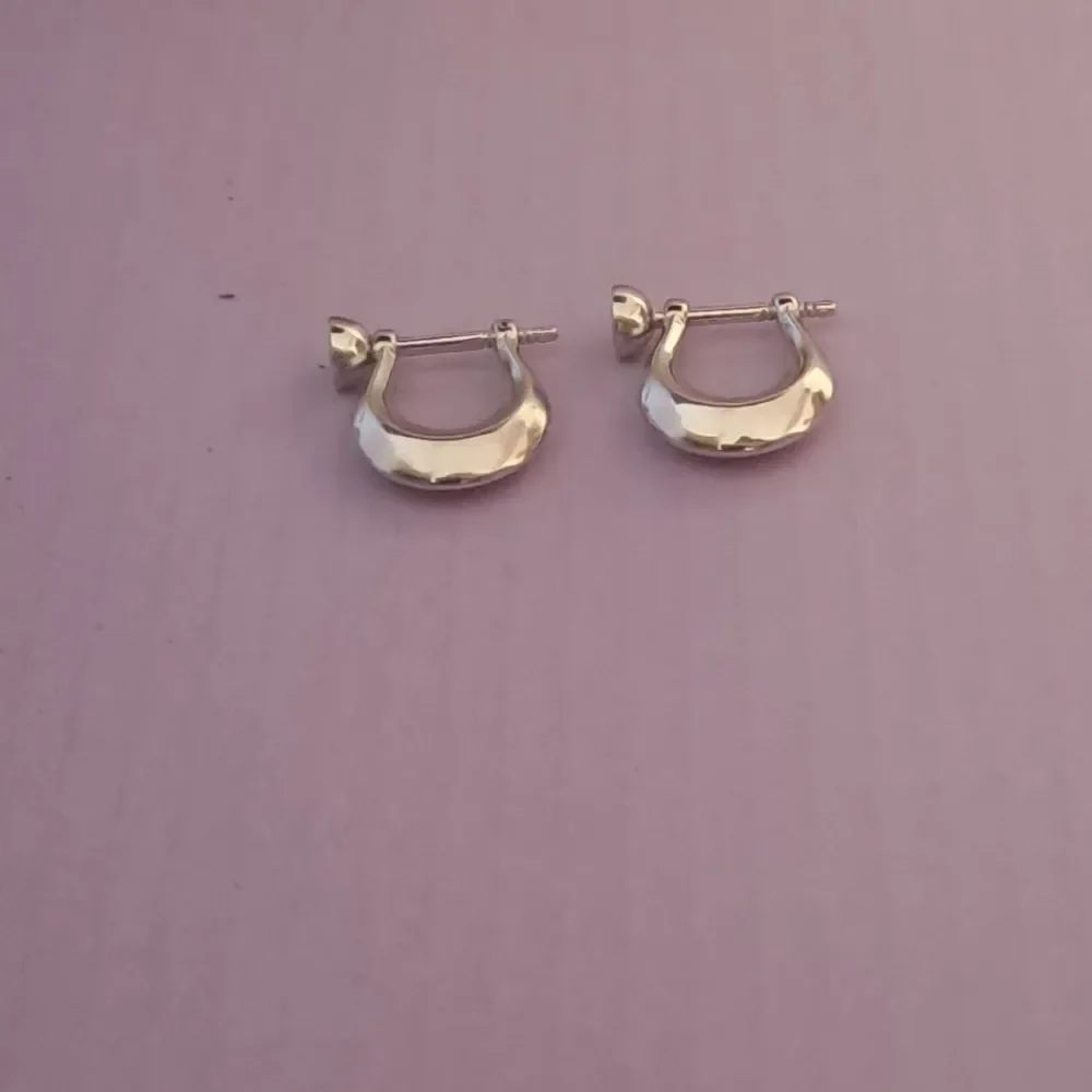 trendy Silver Earring