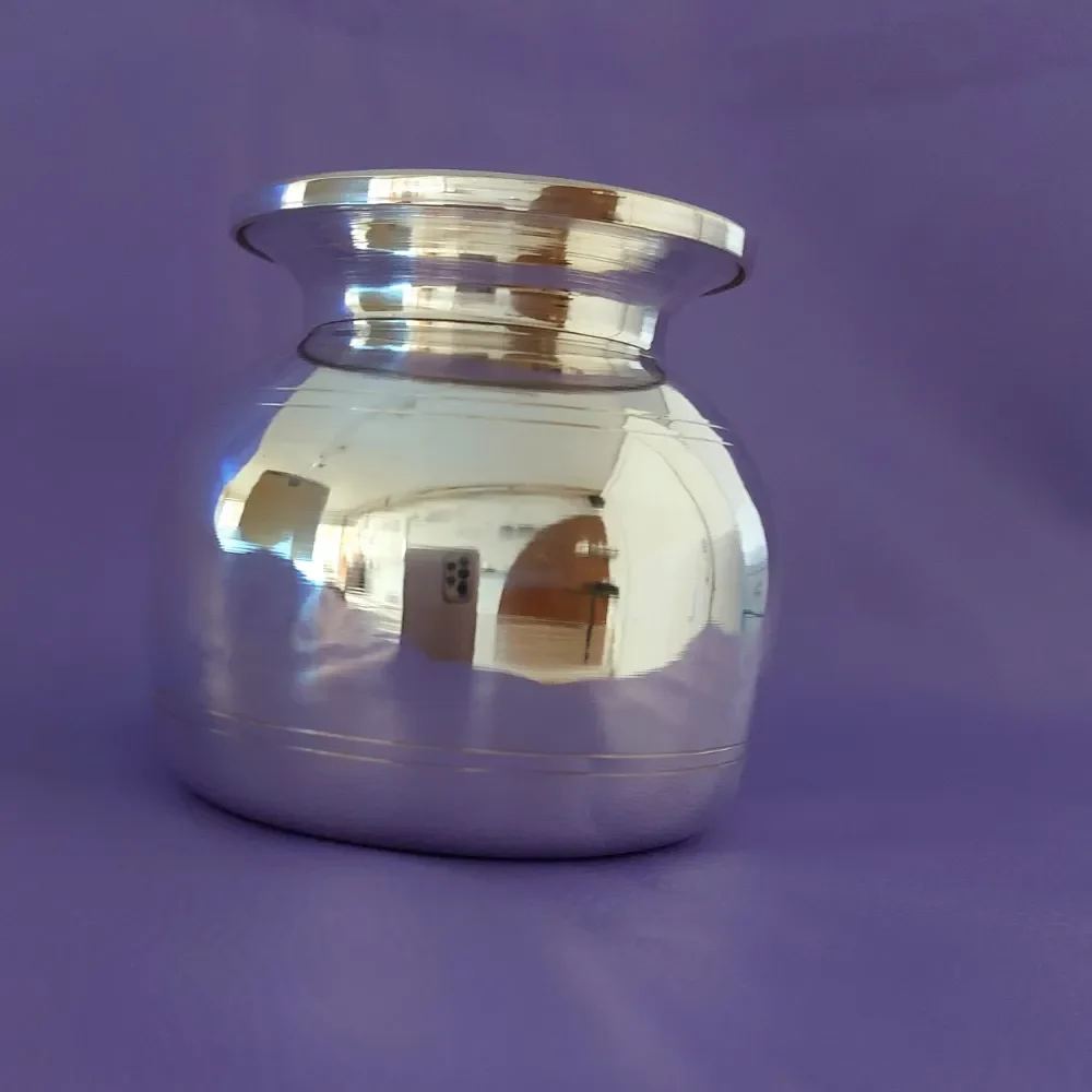 Big  Silver Lota